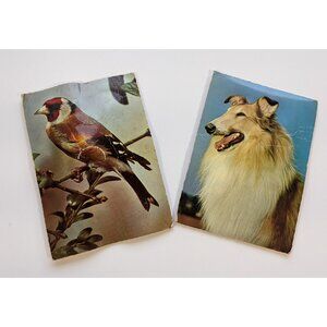 Lot of 2 Vintage Squeaky Postcards Bird & Dog ALMA voice card 70's - READ